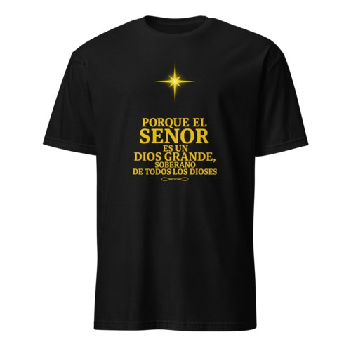 Camiseta Hombre Unisex Calidad Salmo 95:3