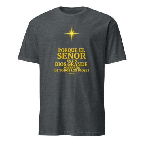 Camiseta Hombre Unisex Calidad Salmo 95:3