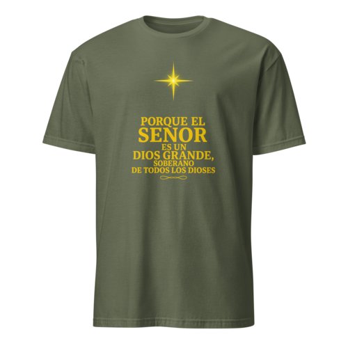 Camiseta Hombre Unisex Calidad Salmo 95:3