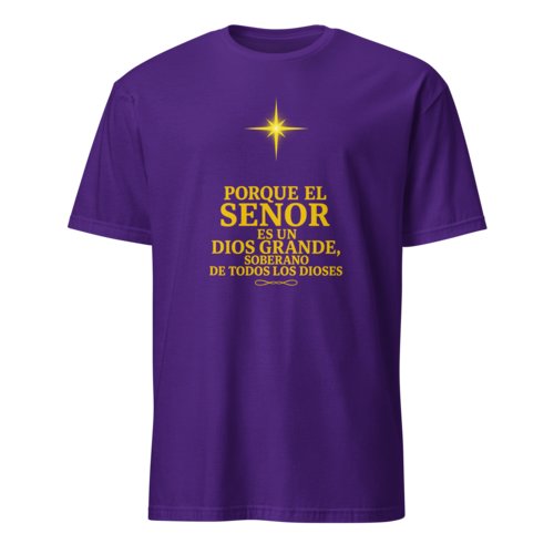 Camiseta Hombre Unisex Calidad Salmo 95:3