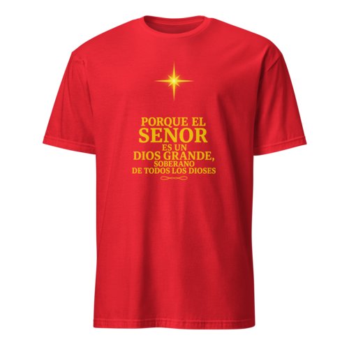 Camiseta Hombre Unisex Calidad Salmo 95:3
