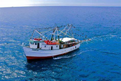 Mantenimiento y Reparación de Elementos Pesqueros en Puerto