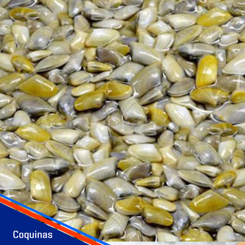 Comprar Marisco Online El Mercado del Marisco Envíos 24h