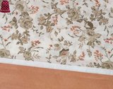 Detalle avellana