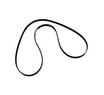 CORREAS SERPENTIN MOTOR