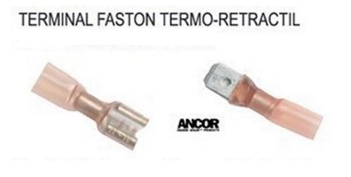 TERMINAL FASTON TERMO-RETRACTIL