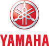 MOTOR ELECTRICO YAMAHA MX18