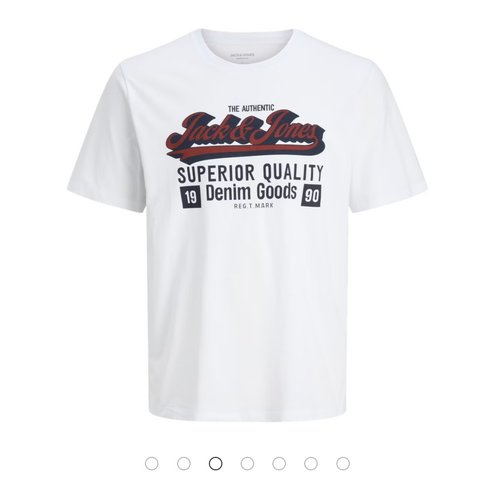 Camiseta fantasía