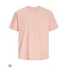 Camiseta fantasía