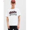 Camiseta fantasía