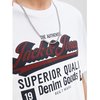Camiseta fantasía