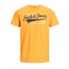 Camiseta estampada